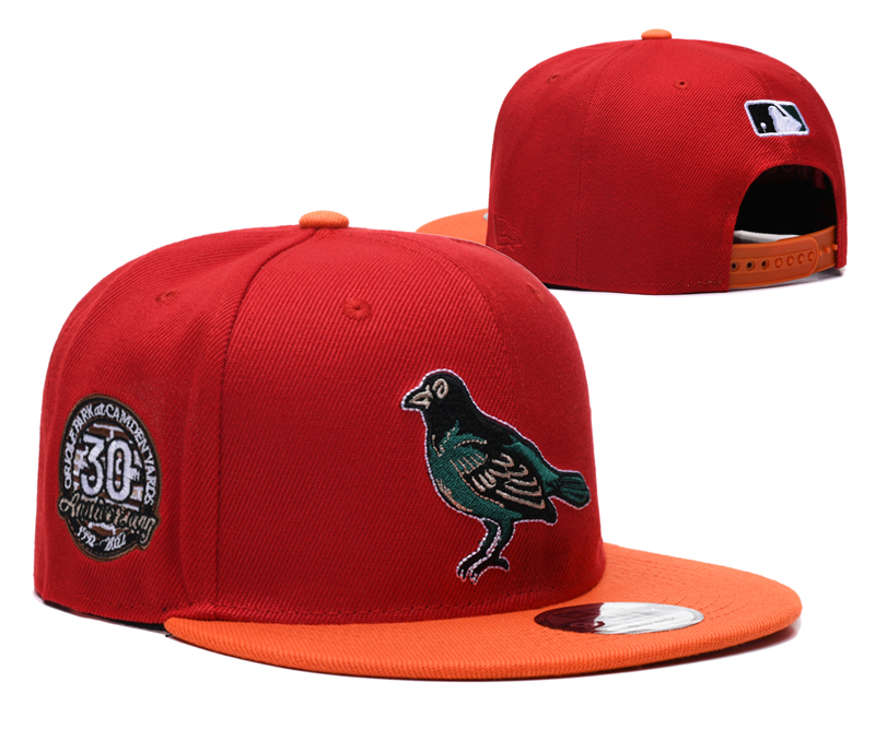 Arizona Cardinals hat 024
